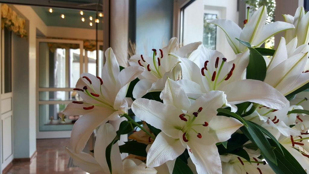 Hotel In Den Herrnwiesen ヴェルトハイム エクステリア 写真
